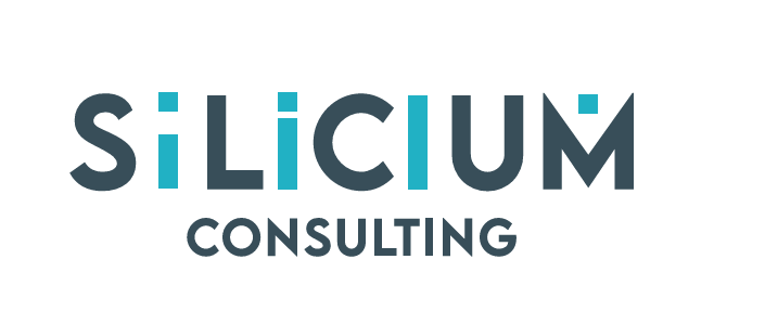 soliconit-consulting-partner-silicium